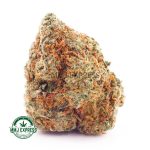 Buy Cannabis Nirvana AA at MMJ Express Online Shop