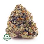 Buy Cannabis Blue Mataro AA at MMJ Express Online Shop