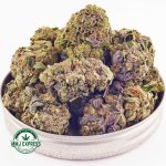 Buy Cannabis Blue Mataro AA at MMJ Express Online Shop