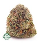 Buy Cannabis Death Bubba AAA at MMJ Express Online Shop