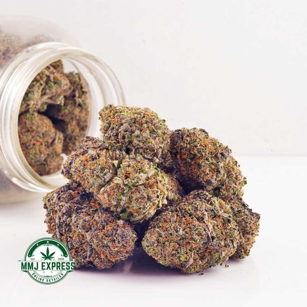 Buy Cannabis Afghani Haze AA at MMJ Express Online Shop