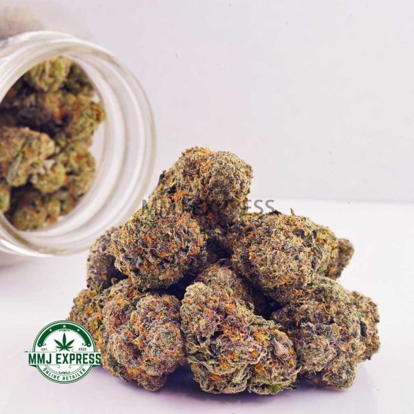 Buy Cannabis Tom Ford Craft, AAAA+ at MMJ Express Online Shop