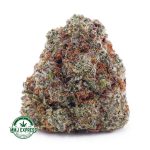 Buy Cannabis Oreoz AAAA at MMJ Express Online Shop