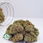 Buy Cannabis Amnesia Haze AA at MMJ Express Online Shop