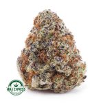 Buy Cannabis Crazy Glue AAAA at MMJ Express Online Shop
