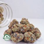 Buy Cannabis Crazy Glue AAAA at MMJ Express Online Shop