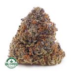 Buy Cannabis Skunk#1 AA at MMJ Express Online Shop