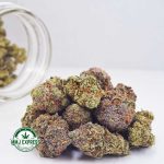 Buy Cannabis Skunk#1 AA at MMJ Express Online Shop