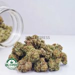 Buy Cannabis Strawberry Cream Cookies AA at MMJ Express Online Shop