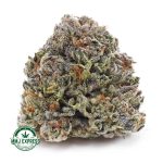 Buy Cannabis Cali Bubba AA at MMJ Express Online Shop