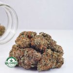 Buy Cannabis Super Skunk AA at MMJ Express Online Shop
