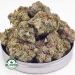 Buy Cannabis Mike Tyson Craft, AAAA+ at MMJ Express Online Shop