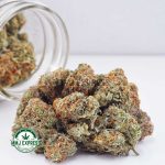 Buy Cannabis Gelato AA at MMJ Express Online Shop