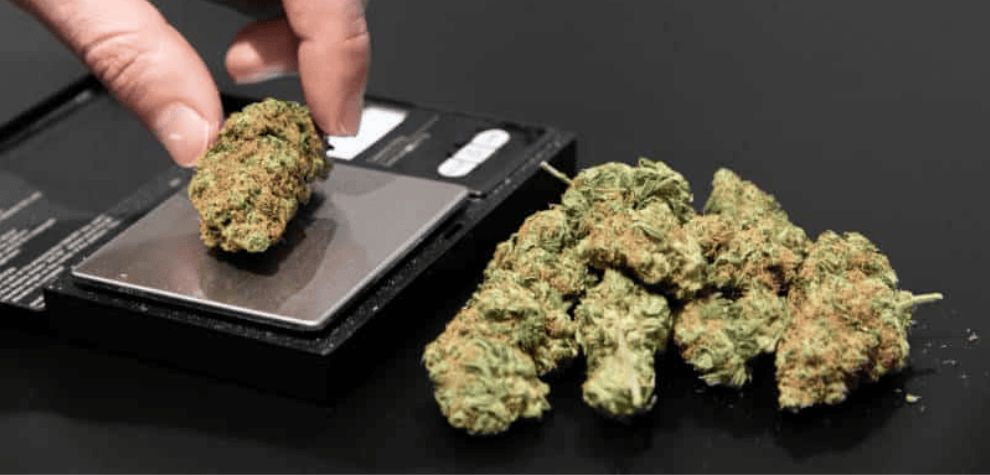 Is an ounce of weed enough? How much marijuana should you order from an online dispensary in Canada? How much money does it all cost? Is it expensive or cheap?