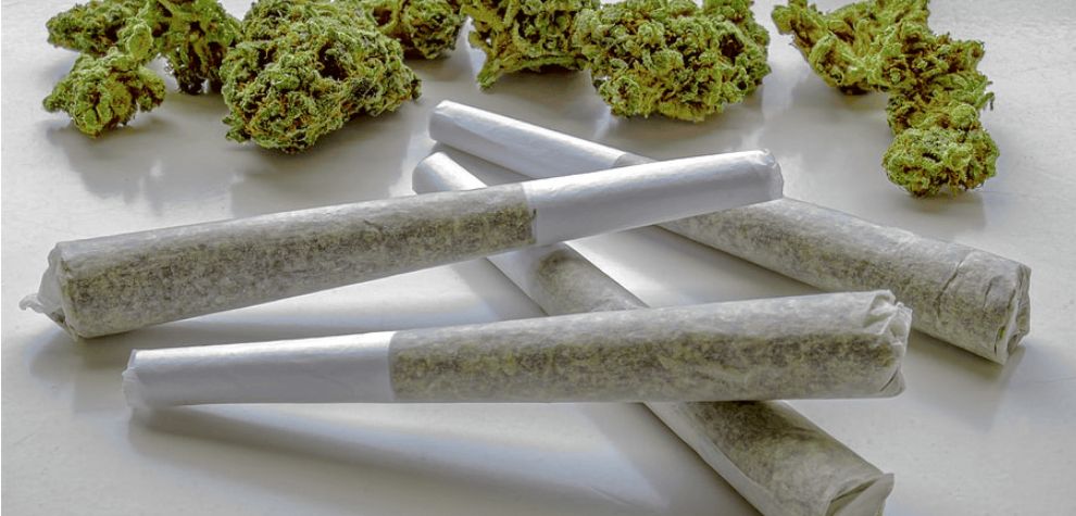 Dry herbs are hands-down the most chart-topping products available at an online pot store. You can roll them into joints, smoke them in spliffs, or use them as toppings for other consumption methods. 
