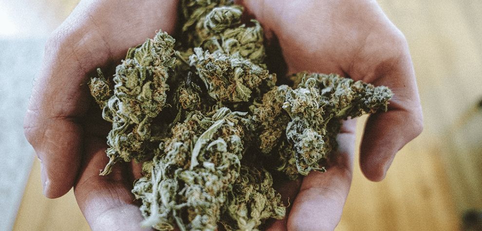 The words “quality” and “cheap” rarely go hand in hand, especially when talking about cannabis. The good news is that quality and cheap weed can only be found in online weed dispensaries, especially at MMJExpress. 