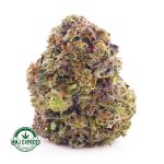 Buy Cannabis Master Kush Ultra AAAA at MMJ Express Online Shop