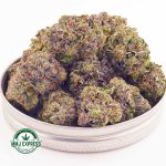 Buy Cannabis Master Kush Ultra AAAA at MMJ Express Online Shop