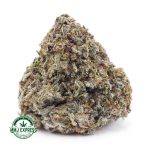 Buy Cannabis Amnesia Haze AA at MMJ Express Online Shop