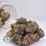 Buy Cannabis Papaya Punch AA at MMJ Express Online Shop