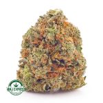 Buy Cannabis Fruit Loops AAAA MMJ Express Online Shop