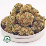 Buy Cannabis Fruit Loops AAAA MMJ Express Online Shop