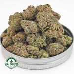 Buy Cannabis Crazy Glue AAA at MMJ Express Online Shop