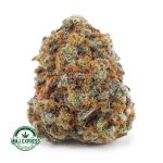 Buy Cannabis Dosi Cake AAA at MMJ Express Online Shop