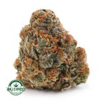 Buy Cannabis Alien Cookies AAAA at MMJ Express Online Shop