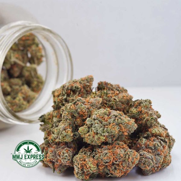 Buy Cannabis Alien Cookies AAAA at MMJ Express Online Shop