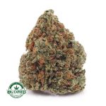 Buy Cannabis Gorilla Cookies AAAA at MMJ Express Online Shop