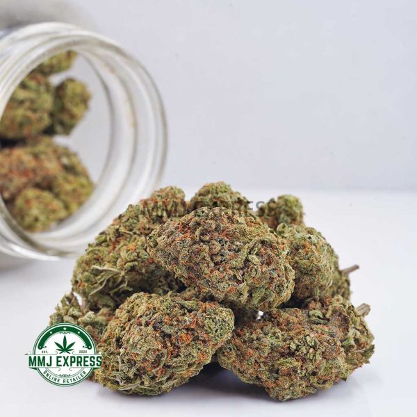 Buy Cannabis Gorilla Cookies AAAA at MMJ Express Online Shop