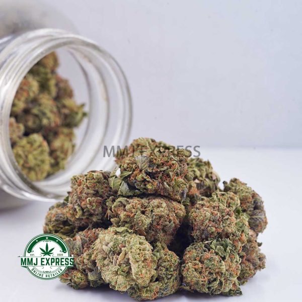 Buy Cannabis Chemodo Dragon AAAA at MMJ Express Online Shop