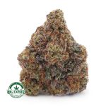 Buy Cannabis Double OG AAAA at MMJ Express Online Shop