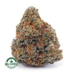 Buy Cannabis Gelato Cake AAA at MMJ Express Online Shop