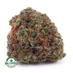 Buy Cannabis Black Berry Gelato AAA at MMJ Express Online Shop