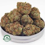 Buy Cannabis Black Berry Gelato AAA at MMJ Express Online Shop