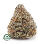 Buy Cannabis Do Si Do AA at MMJ Express Online Shop