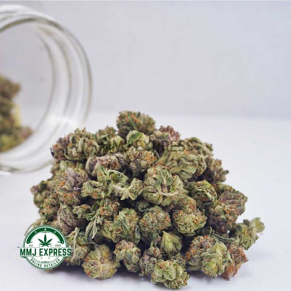 Buy Cannabis Pink Champagne AAAA (Popcorn Nugs) MMJ Express Online Shop