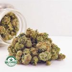 Buy Cannabis Grease Monkey AAAA (Popcorn Nugs) MMJ Express Online Shop