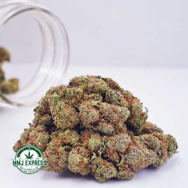 Buy Cannabis Super Skunk AA at MMJ Express Online Shop