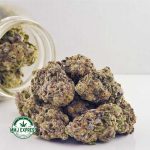 Buy Cannabis Khalifa Kush AAAA at MMJ Express Online Shop