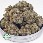 Buy Cannabis Sundae Driver AAA at MMJ Express Online Shop