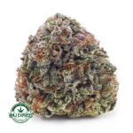 Buy Cannabis Cali Bubba AA at MMJ Express Online Shop