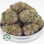 Buy Cannabis Cali Bubba AA at MMJ Express Online Shop