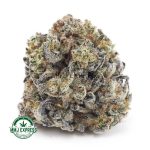 Buy Cannabis Island Sweet Skunk AA at MMJ Express Online Shop