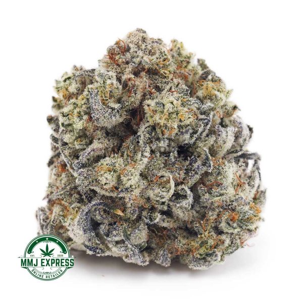 Buy Cannabis Island Sweet Skunk AA at MMJ Express Online Shop