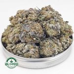 Buy Cannabis Island Sweet Skunk AA at MMJ Express Online Shop