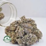 Buy Cannabis Island Sweet Skunk AA at MMJ Express Online Shop