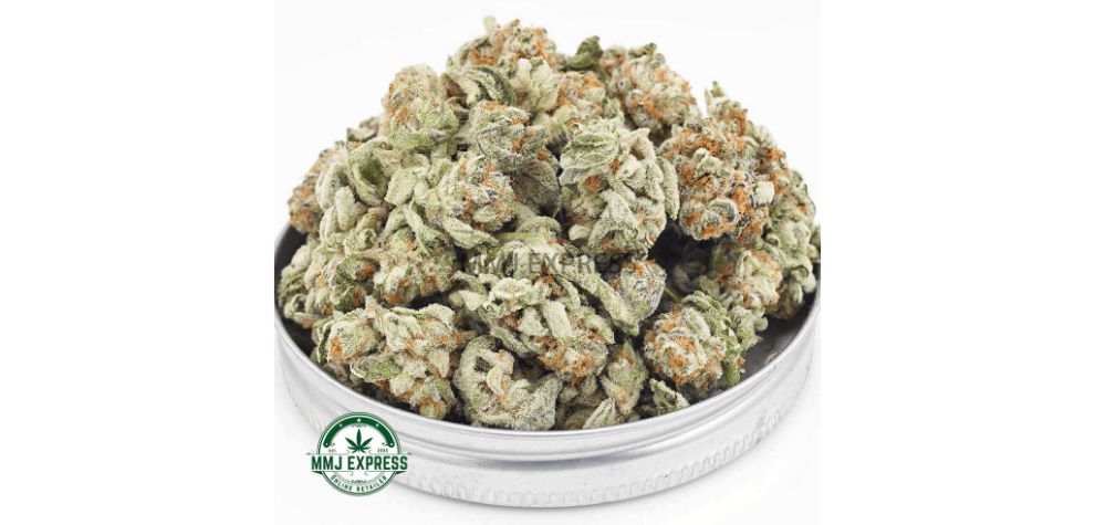 It's 70 percent Indica and 30 percent Sativa with dominant full-body, sedative effects. Thanks to the high cannabinoid content of 25 percent THC, the Dolato AAAA strain will make you feel boozy, euphoric, and ecstatically happy. 